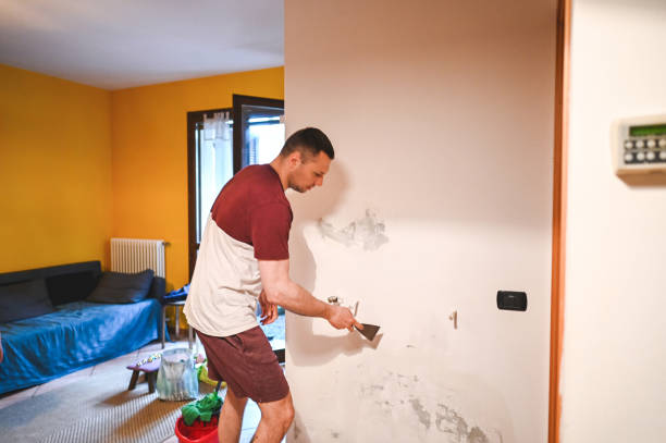 Best Local Mold Removal Service  in Mount Kisco, NY